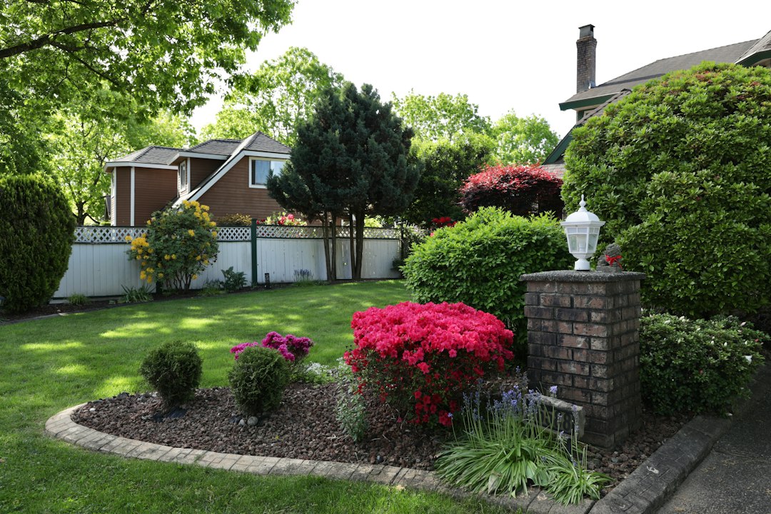 Beautiful professionally maintained residential garden
